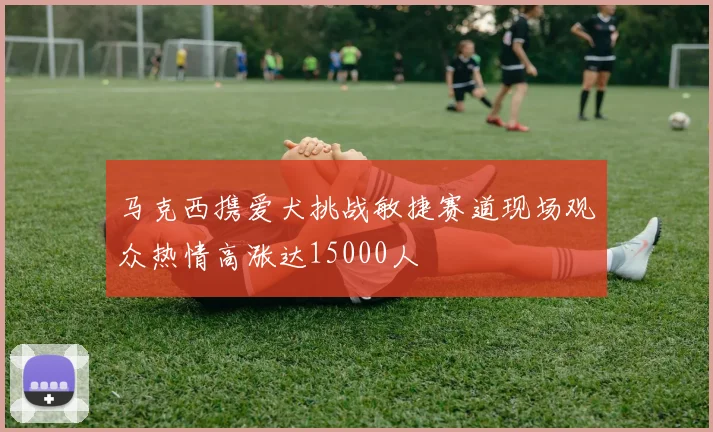 马克西携爱犬挑战敏捷赛道现场观众热情高涨达15000人