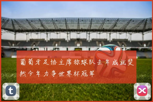 葡萄牙足协主席称球队去年成就斐然今年力争世界杯冠军