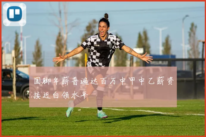国脚年薪普遍达百万中甲中乙薪资接近白领水平